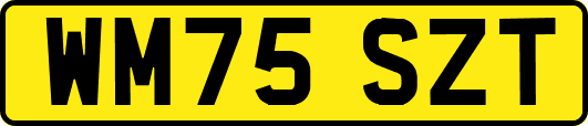 WM75SZT