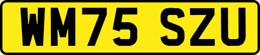 WM75SZU