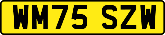 WM75SZW