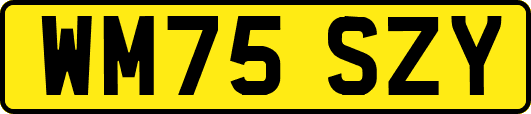 WM75SZY