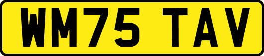 WM75TAV