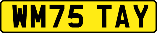 WM75TAY