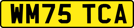 WM75TCA