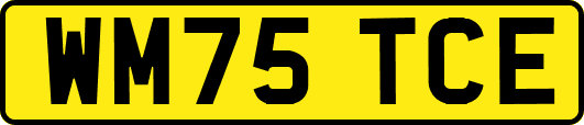 WM75TCE