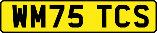 WM75TCS