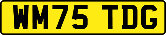 WM75TDG