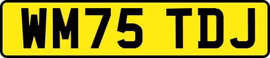 WM75TDJ