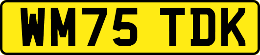 WM75TDK