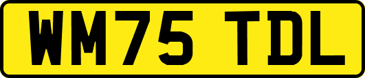 WM75TDL