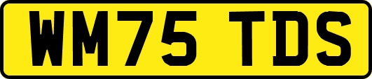 WM75TDS