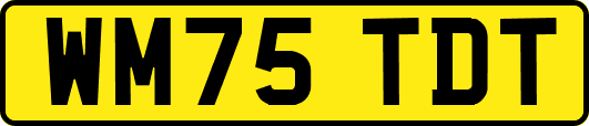 WM75TDT