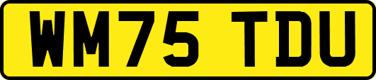 WM75TDU