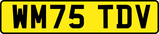 WM75TDV