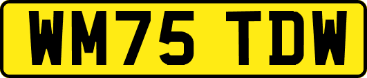 WM75TDW