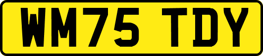WM75TDY