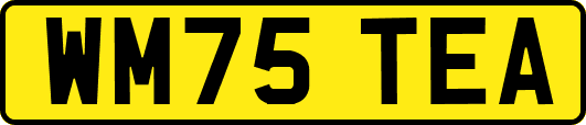 WM75TEA