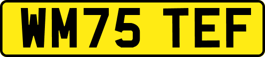 WM75TEF
