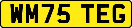 WM75TEG