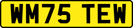 WM75TEW