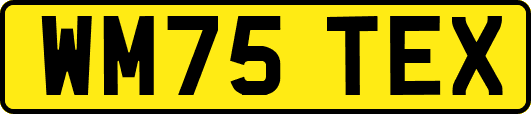 WM75TEX