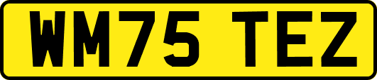 WM75TEZ