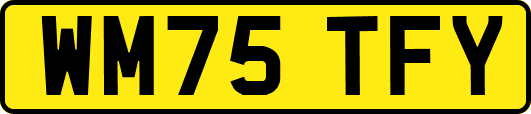 WM75TFY