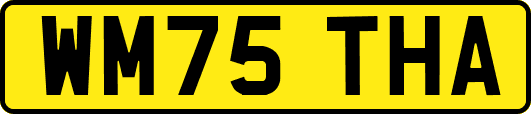 WM75THA