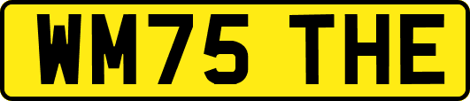 WM75THE