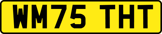 WM75THT