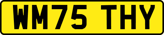 WM75THY