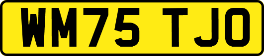 WM75TJO