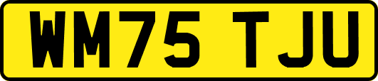 WM75TJU