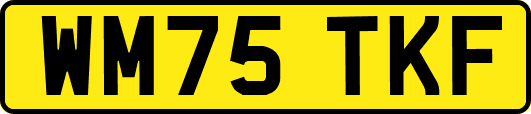 WM75TKF