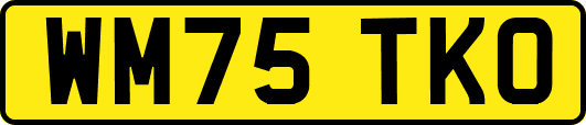 WM75TKO