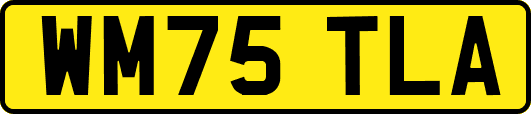 WM75TLA