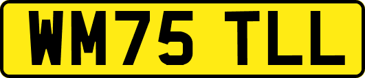 WM75TLL