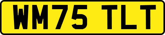WM75TLT