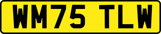 WM75TLW