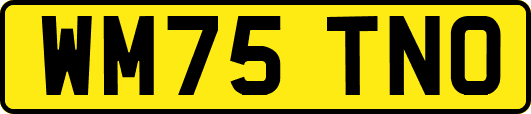 WM75TNO