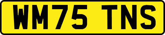 WM75TNS