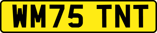 WM75TNT