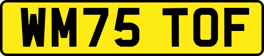 WM75TOF