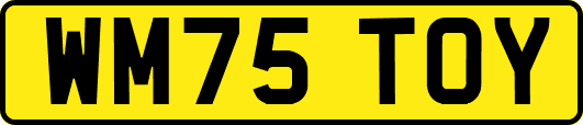 WM75TOY