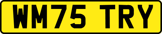 WM75TRY