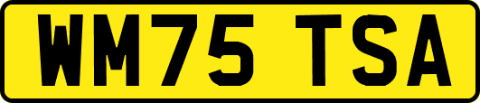 WM75TSA