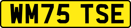 WM75TSE