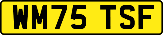 WM75TSF