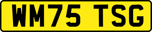 WM75TSG