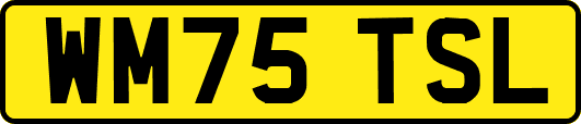 WM75TSL