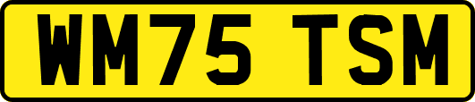 WM75TSM